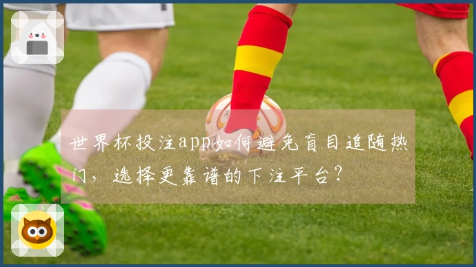 世界杯投注app如何避免盲目追随热门,选择更靠谱的下注平台?